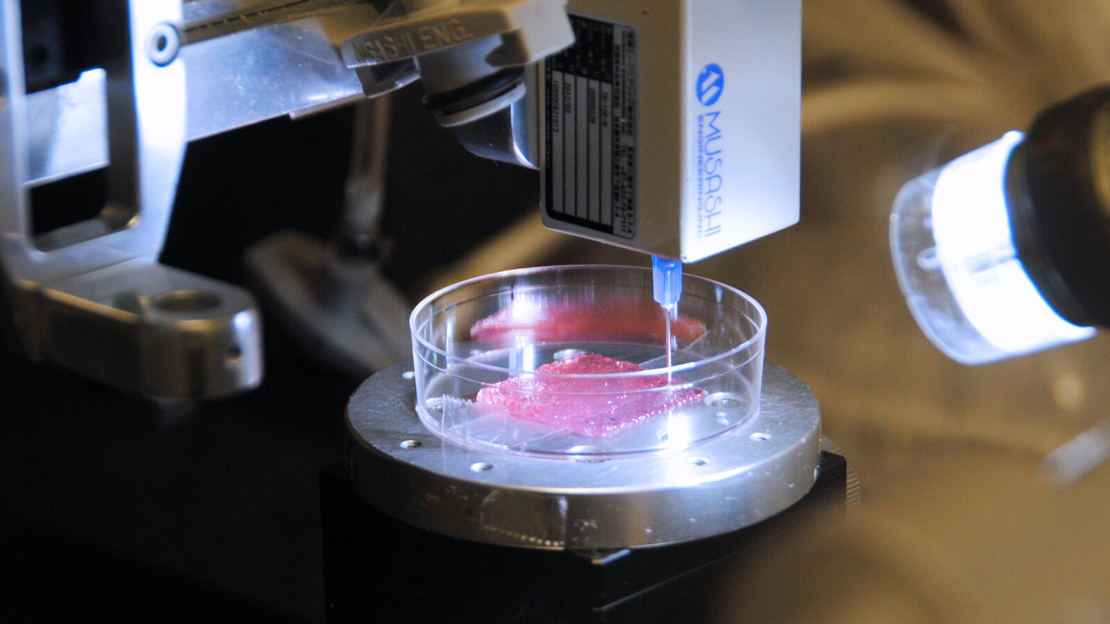 Artificial Organs and Bioprinting