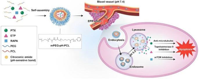 Advances in Cancer Research