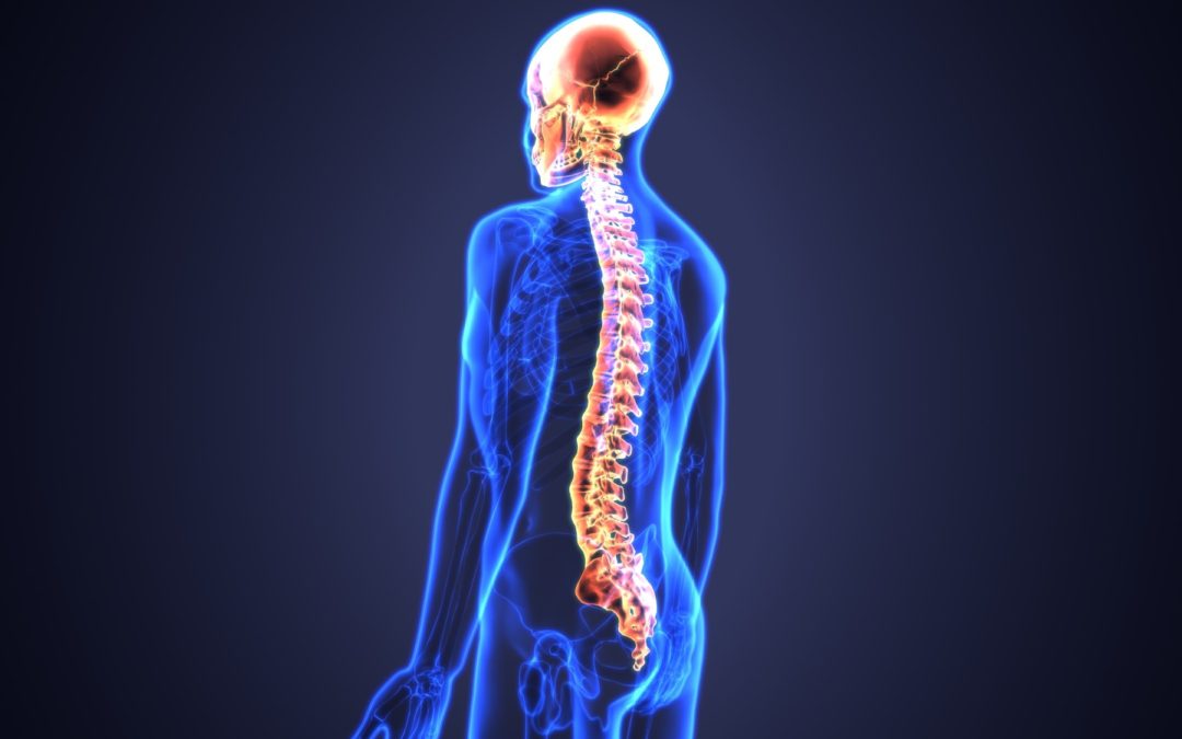 Chiropractic care for spinal health