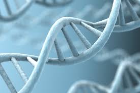 Genetic disorders