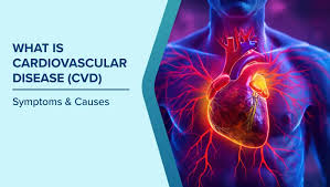 Cardiovascular diseases