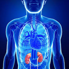 Cushing’s Syndrome